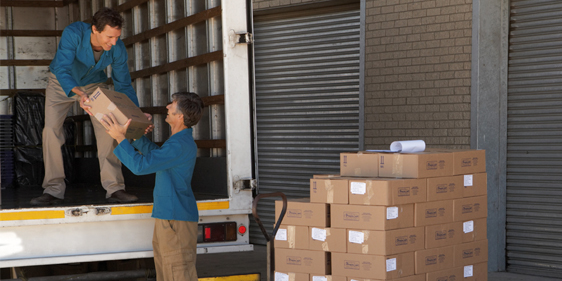 MGS Transporte Terrestre