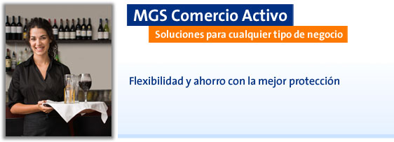 MGS Comercio Activo