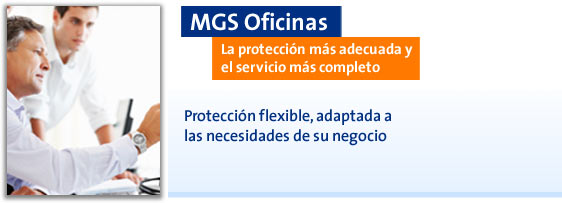 MGS Oficinas