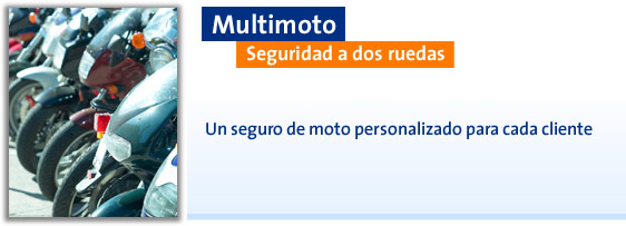 Multimoto